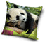 Dekorativt Pudebetræk 40x40 cm - Animal Planet Panda Design (CBX0007AP)
