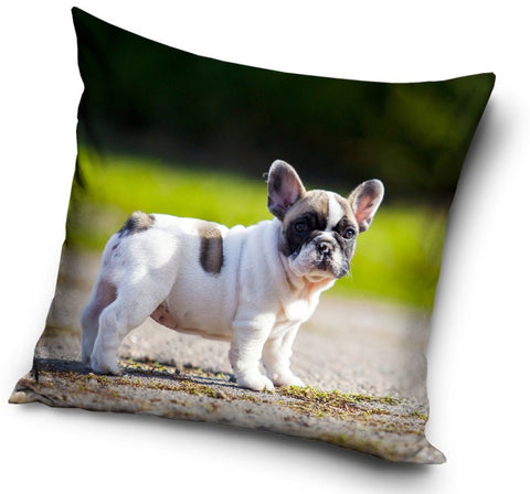 Dekorativt Pudebetræk 40x40 cm - Hund Design (CBX181005PD)