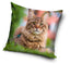 Dekorativt Pudebetræk 40x40 cm - Kat Design (CBX181015PDA)