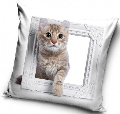 Dekorativt Pudebetræk 40x40 cm - Kat i billedramme (CBX181030PD)