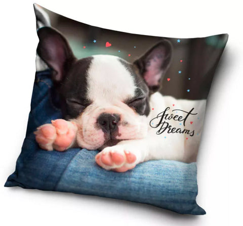 Dekorativt Pudebetræk 40x40 cm - Hund "Sweet Dreams" (CBX191054PD)