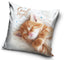 Dekorativt Pudebetræk 40x40 cm - Orange Kat "Good Night" (CBX191057PD)