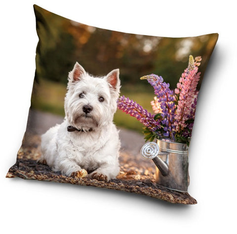 Dekorativt Pudebetræk 40x40 cm - Hund Design (CBX201045PNL)