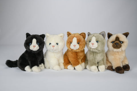 kat bamse