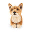 dorgi hund bamse