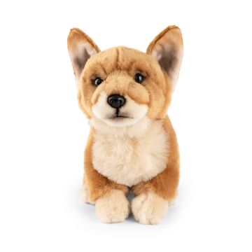 dorgi hund bamse