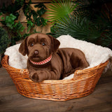 Living Nature Giant Chocolate Labrador Hund 45 cm (stor)