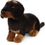 Gravhund bamse