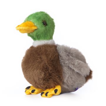 Gråand bamse