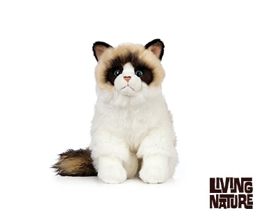 Ragdoll Kat bamse