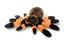 tarantel bamse