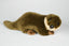 odder bamse