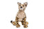 Savannah Kat