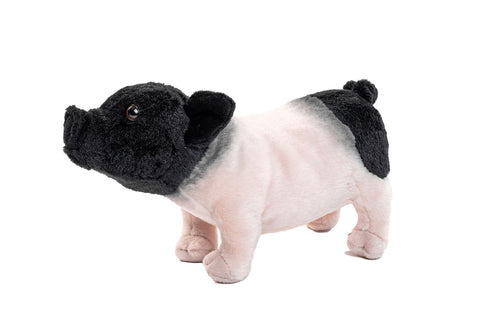 Svin bamse