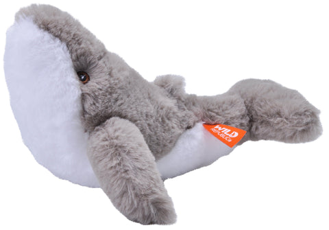 Pukkelhval bamse