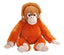 Orangutang baby bamse