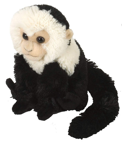 Kapucinerabe bamse