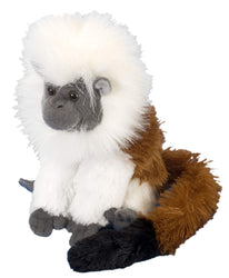Paryksilkeabe bamse