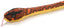 Regnbueboa bamse