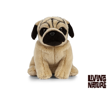 Mops bamse