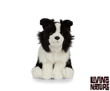 Border Collie bamse