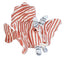 Dragefisk bamse