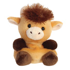 Højlandskvæg Bamse