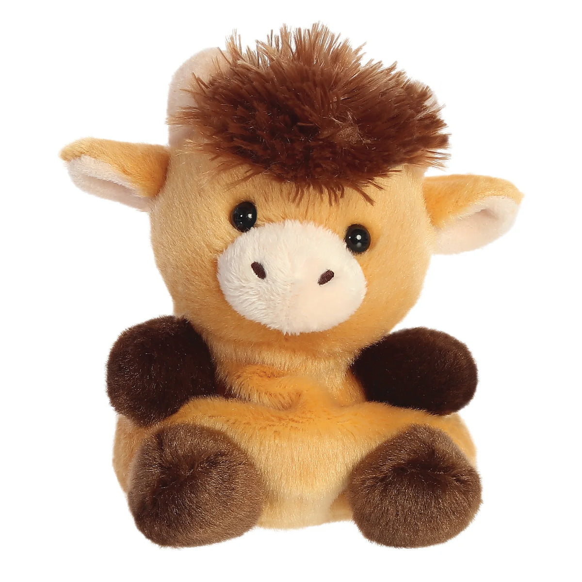Højlandskvæg Bamse Hovedbillede