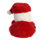 Aurora Santa Claus