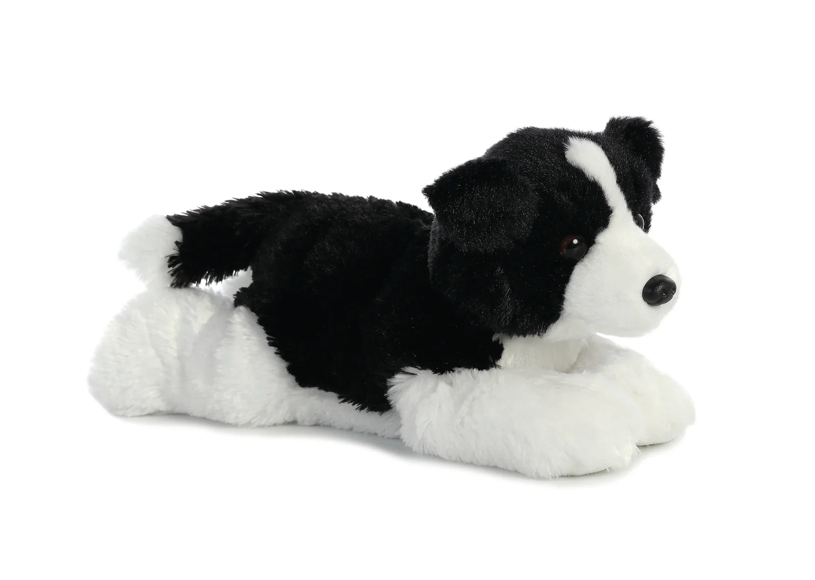 Border Collie Bamse