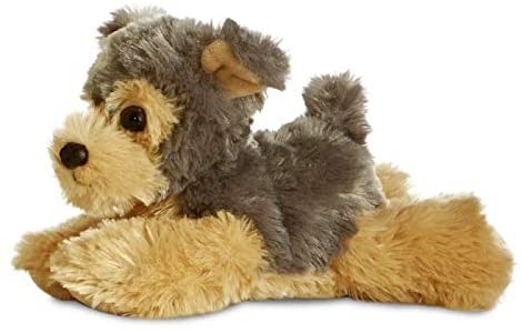 Yorkshire Terrier Bamse 