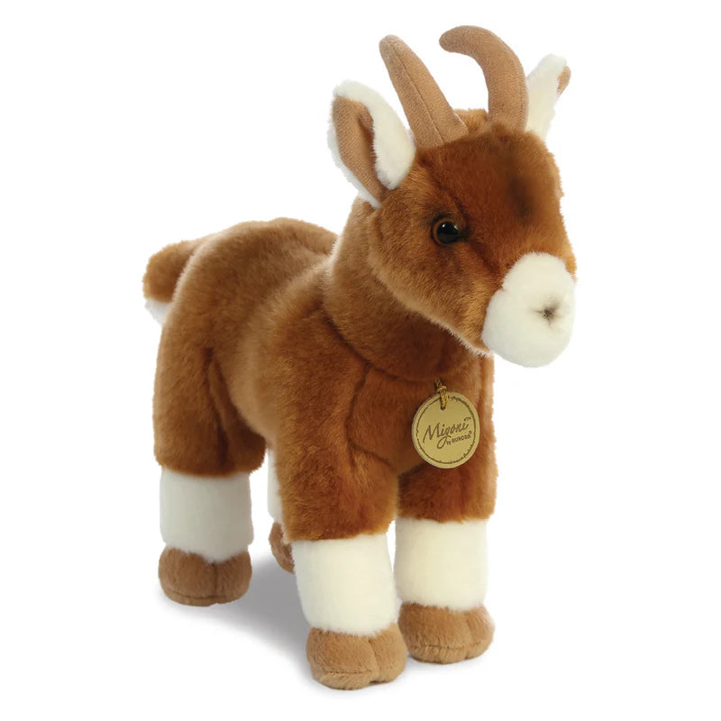Aurora ged bamse Hovedbillede
