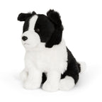Border Collie plysdyr