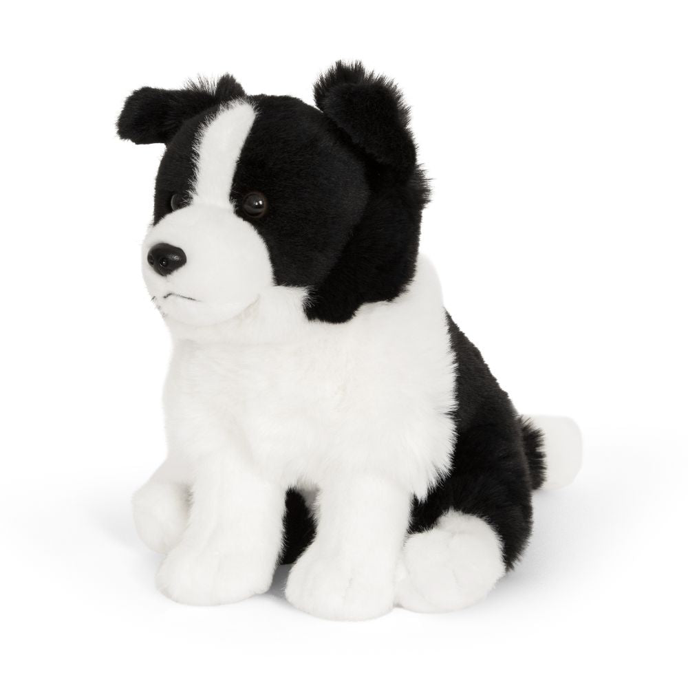 Border Collie plysdyr