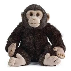 Chimpanse Bamse
