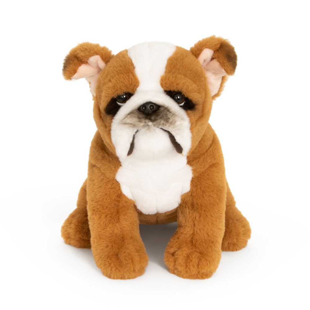 Engelsk Bulldog bamse