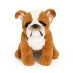 Engelsk Bulldog bamse