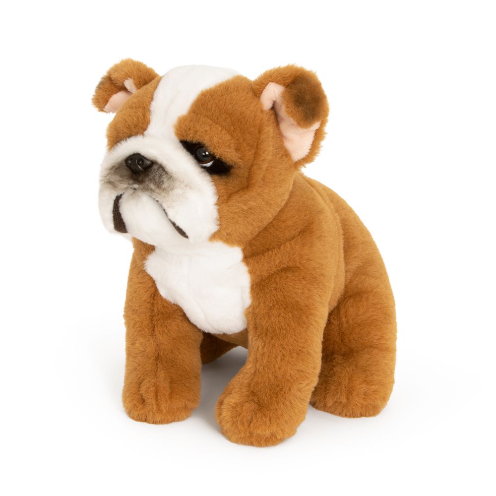 Engelsk Bulldog tøjdyr