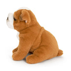 Engelsk Bulldog plysdyr