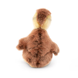 Living Nature Gråand Ælling Bamse 15 cm (AN789)