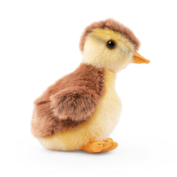 Living Nature Gråand Ælling Bamse 15 cm (AN789)