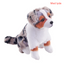 Australian Shepherd bamse