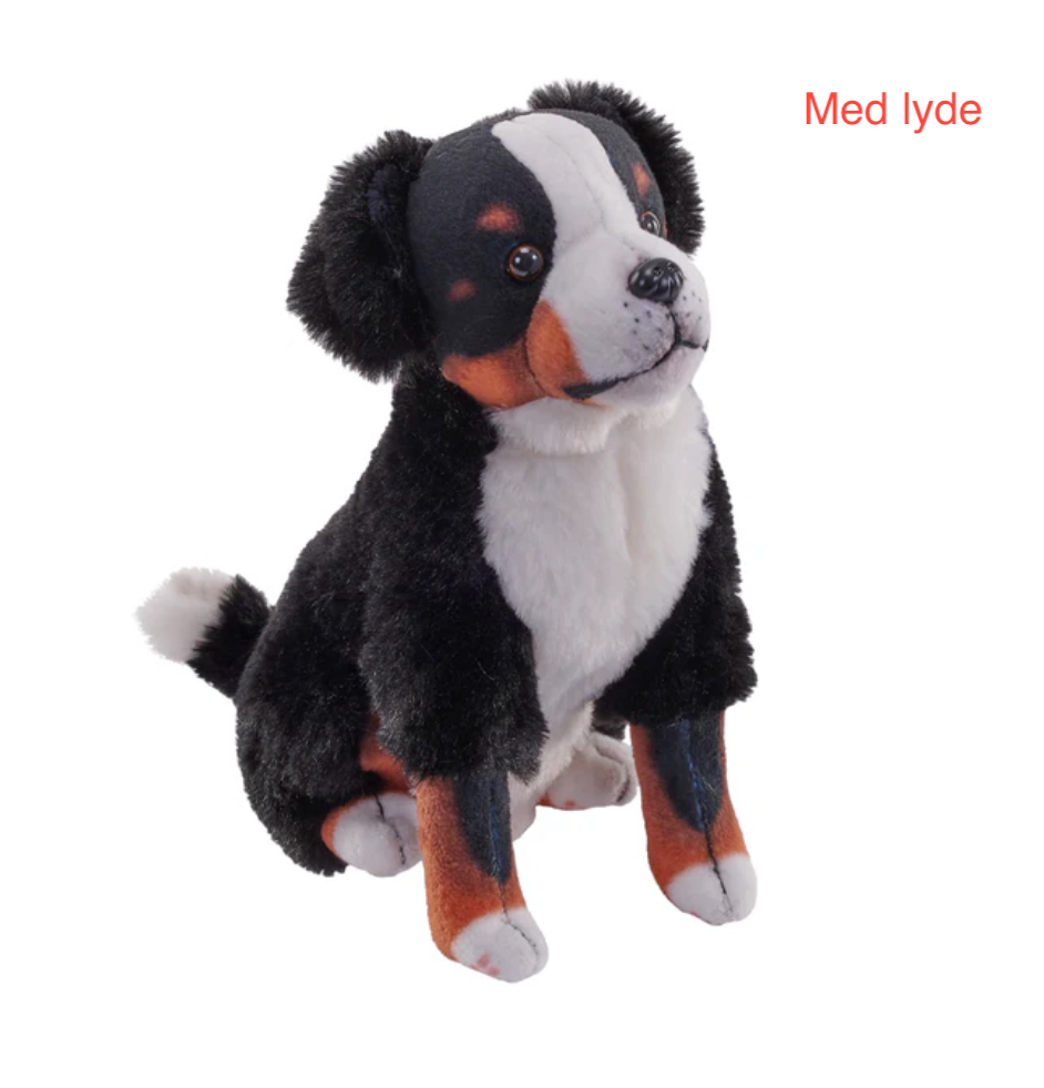Berner Sennenhund bamse med lyde