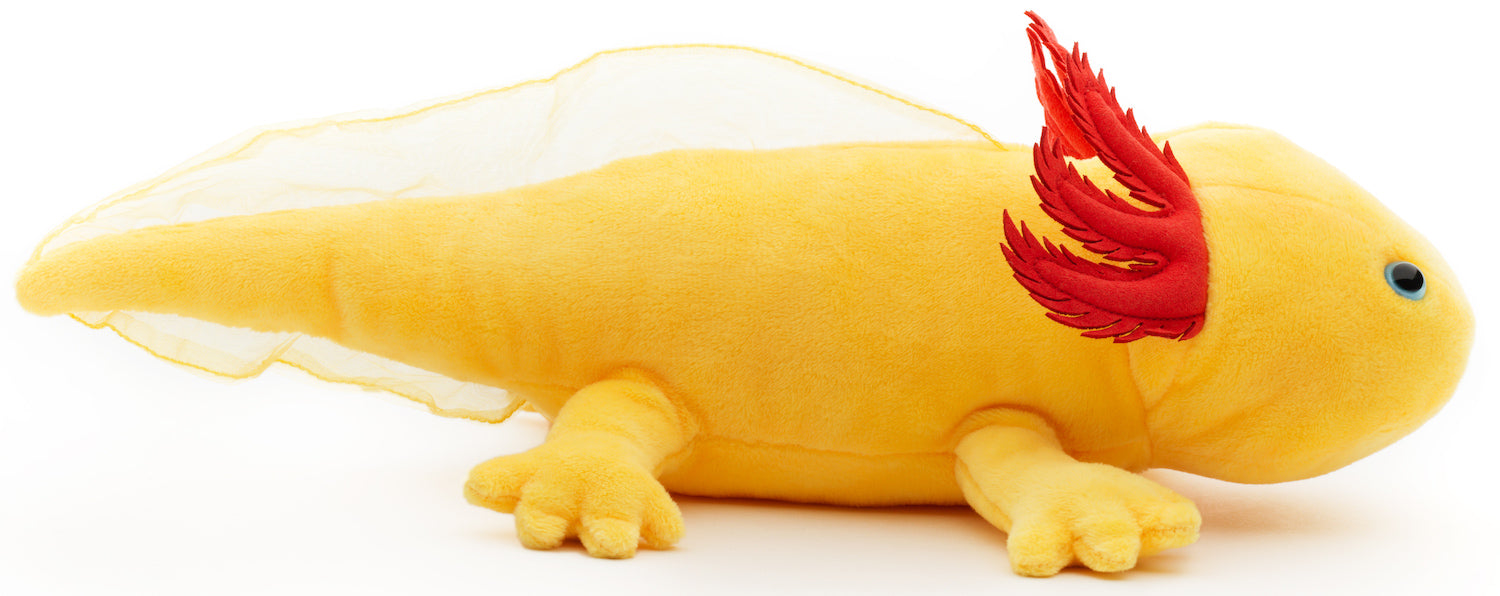 Gul Axolotl plysdyr