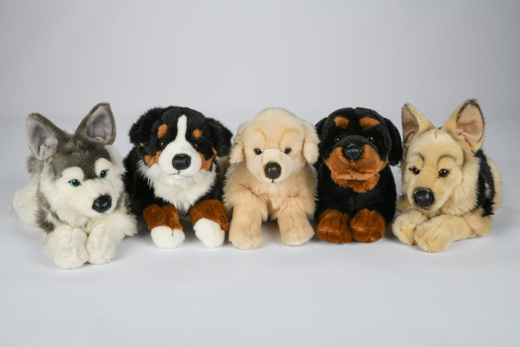 Schæferhund bamse