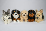 Uni-Toys Husky Hund, liggende 30 cm (32235A), Eco-Friendly