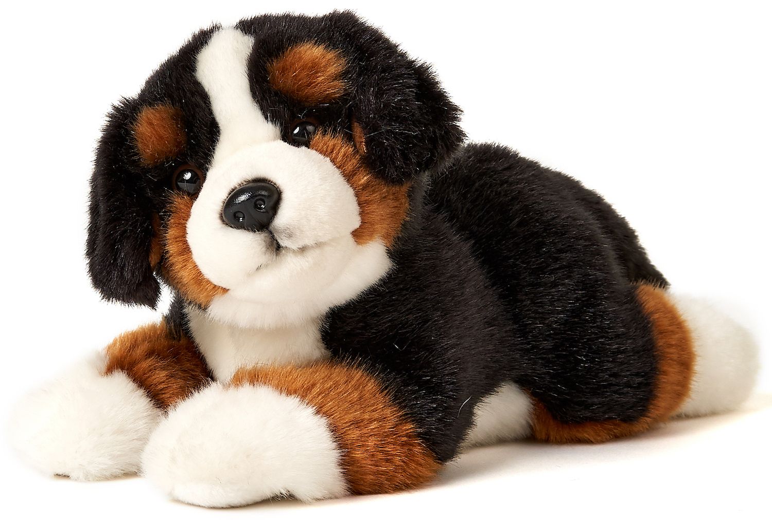 Berner Sennenhund bamse Hovedbillede