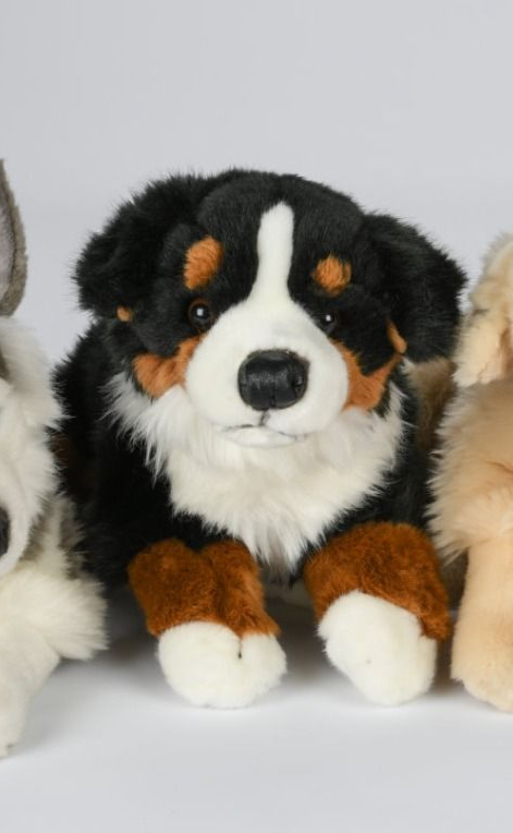 Uni-Toys Berner Sennenhund bamse, liggende 40 cm (22811A) Hovedbillede