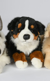 Uni-Toys Berner Sennenhund bamse, liggende 40 cm (22811A)