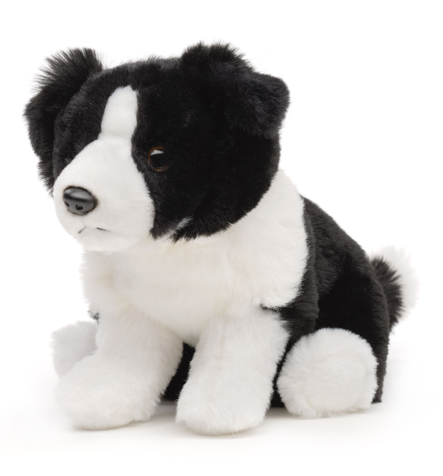 Border Collie plysdyr 